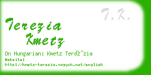 terezia kmetz business card